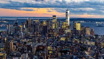 best vegan restaurants nyc